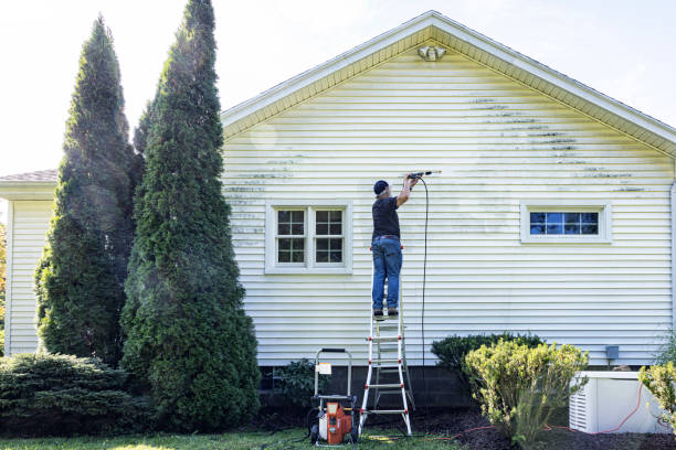 Best Fence Cleaning  in Lower Lake, CA